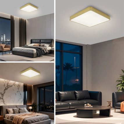 Brilagi - LED stropné svietidlo POOL SQUARE LED/48W/230V 3000/4000/6000K 50x50 cm zlaté