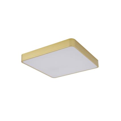 Brilagi - LED stropné svietidlo POOL SQUARE LED/48W/230V 3000/4000/6000K 50x50 cm zlaté