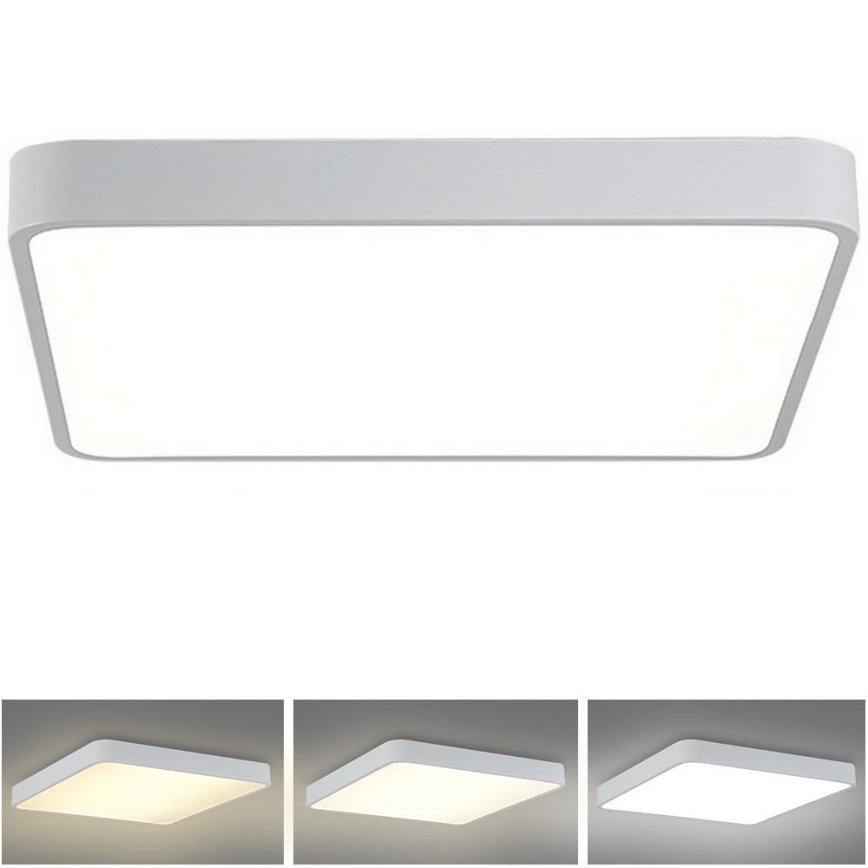 Brilagi - LED Stropné svietidlo POOL SQUARE LED/48W/230V 3000/4500/6000K 50x50 cm biela