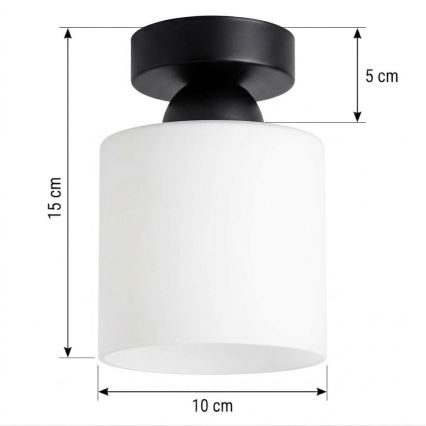 BRILAGI - LED Stropné svietidlo RETRO GLASS 1xE27/60W/230V pr. 10 cm čierna/biela
