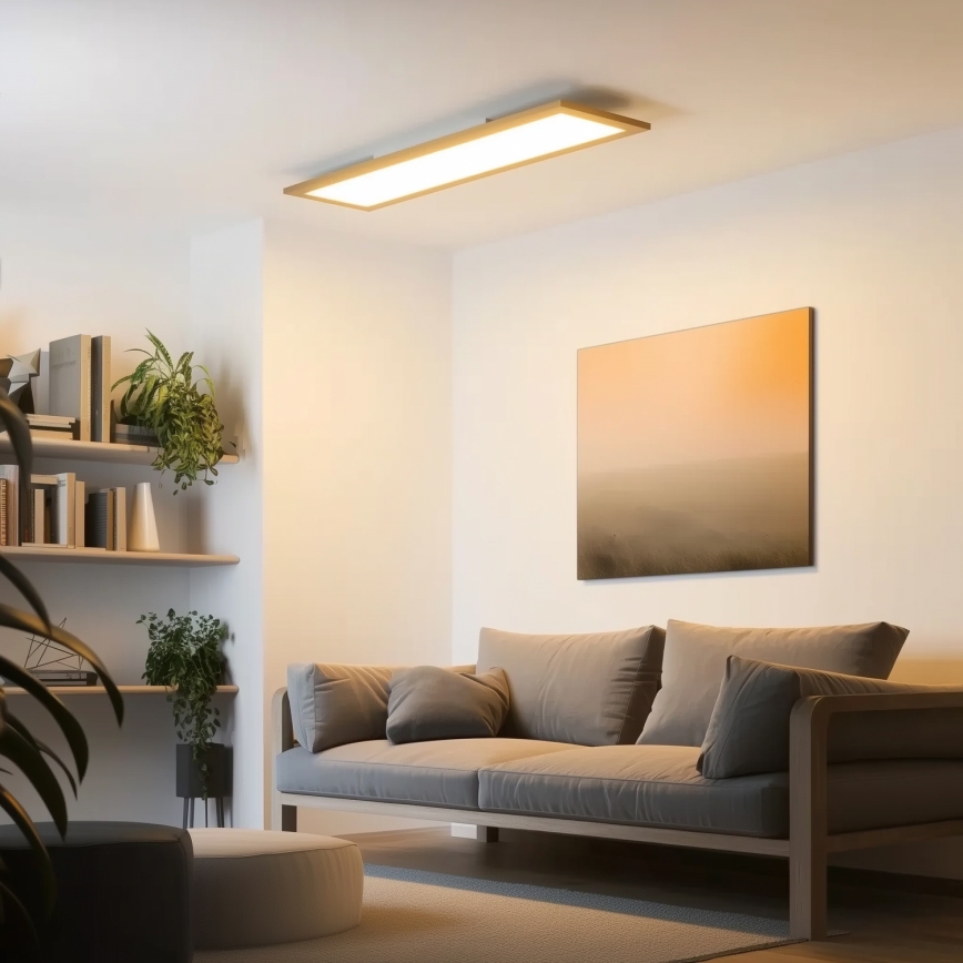 Brilagi - LED Stropné svietidlo SLIMFRAME WOOD LED/58W/230V 124x34 cm hnedá