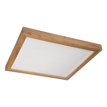 Brilagi - LED Stropné svietidlo WOODY FRAME LED/50W/230V 60x60 cm IP44 dub