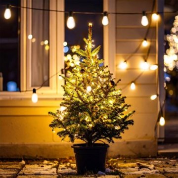 Brilagi - LED vonkajšia girlanda 10xLED/3xAA 3,2m IP44 teplá biela