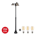 BRILAGI -  LED Vonkajšia lampa VEERLE 3xE27/60W/230V IP44