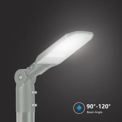 Brilagi - LED Vonkajšia uličná lampa URBANLIGHT LED/50W/230V sivá IP65