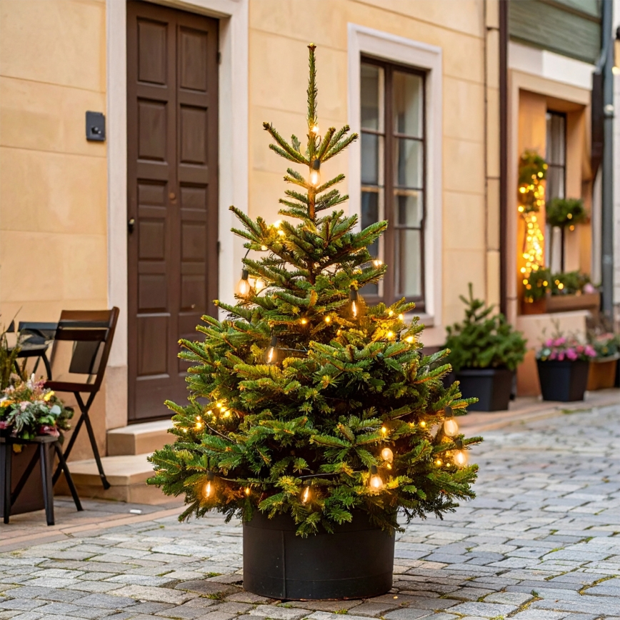 Brilagi - LED vonkajšia vianočná girlanda 10xLED/3xAA 3,2m IP44 teplá biela