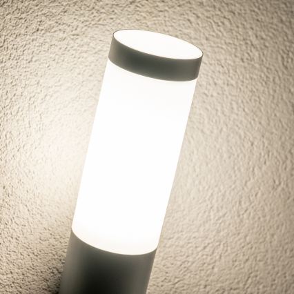 BRILAGI - LED vonkajšie nástenné svietidlo ELIA 1xE27/7W/230V 4000K IP44 antracit