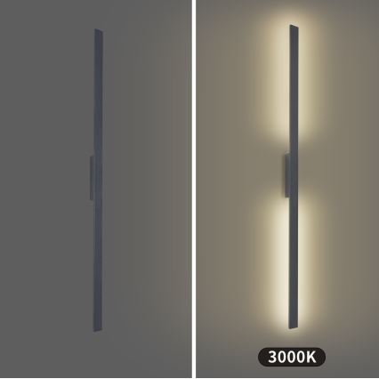 Brilagi - LED vonkajšie nástenné svietidlo LUNA LED/30W/230V 3000K IP65 150 cm antracit CRI 90