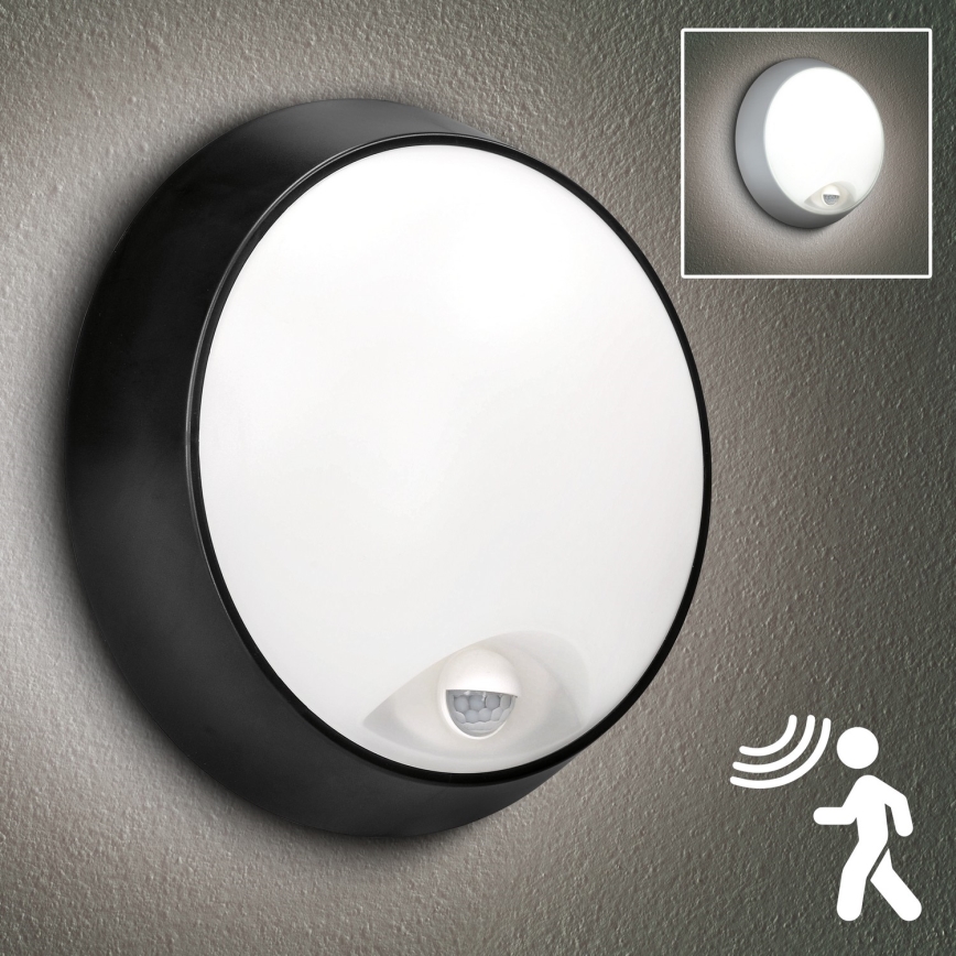 Brilagi - LED Vonkajšie nástenné svietidlo so senzorom 2v1 BULKHEAD LED/20W/230V IP65