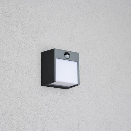 Brilagi - LED Vonkajšie nástenné svietidlo so senzorom TERNI LED/12W/230V antracit IP44