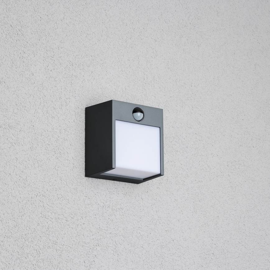 Brilagi - LED Vonkajšie nástenné svietidlo so senzorom TERNI LED/12W/230V antracit IP44