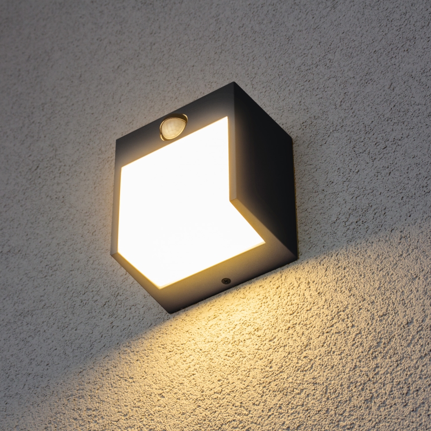 Brilagi - LED Vonkajšie nástenné svietidlo so senzorom TERNI LED/12W/230V antracit IP44