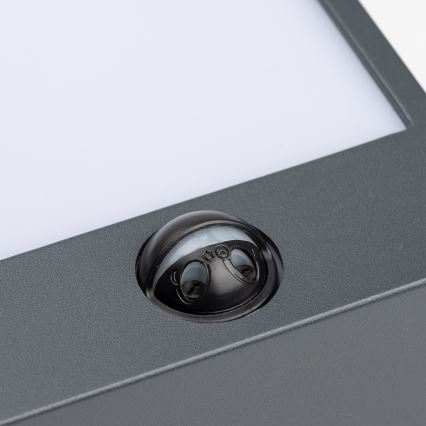 Brilagi - LED Vonkajšie nástenné svietidlo so senzorom TERNI LED/12W/230V antracit IP44