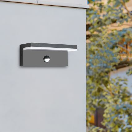 Brilagi - LED vonkajšie nástenné svietidlo so snímačom pohybu TESSI LED/10W/230V antracitové IP54