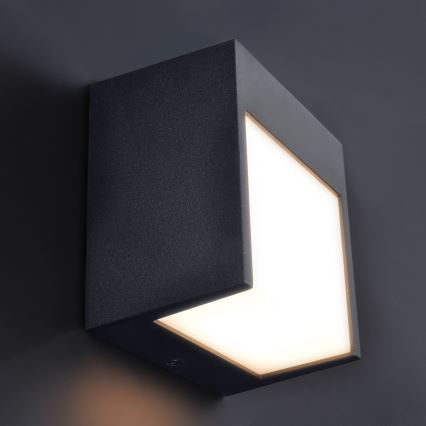 Brilagi - LED Vonkajšie nástenné svietidlo TERNI LED/12W/230V čierna IP44