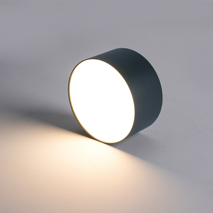 BRILAGI - LED Vonkajšie stropné svietidlo FORIS LED/14W/230V pr. 12 cm antracit IP44