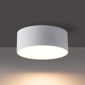 BRILAGI - LED vonkajšie stropné svietidlo FORIS LED/14W/230V pr. 12 cm biela IP44