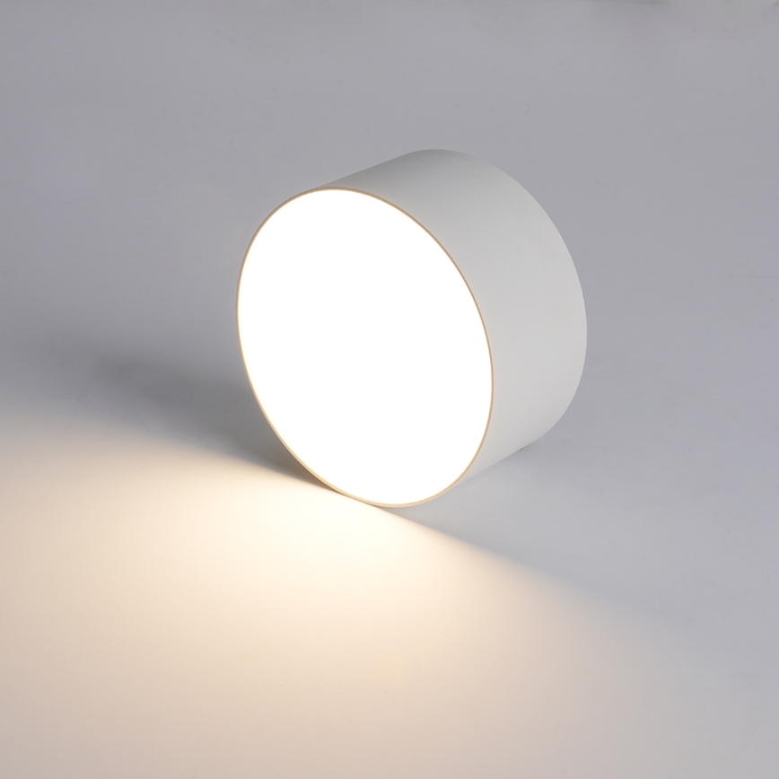 BRILAGI - LED vonkajšie stropné svietidlo FORIS LED/14W/230V pr. 12 cm biela IP44