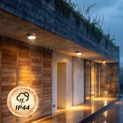 BRILAGI - LED Vonkajšie stropné svietidlo FORIS LED/14W/230V priemer 12 cm bronzové IP44