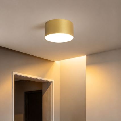BRILAGI - Vonkajšie stropné svietidlo FORIS LED/14W/230V pr. 12 cm zlaté IP44