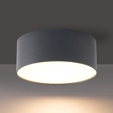 BRILAGI - LED Vonkajšie stropné svietidlo FORIS LED/20W/230V pr. 15 cm antracit IP44