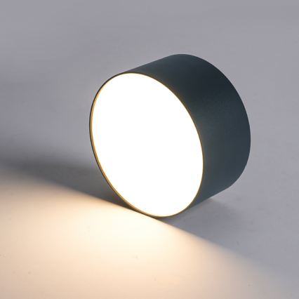 BRILAGI - LED Vonkajšie stropné svietidlo FORIS LED/20W/230V pr. 15 cm antracit IP44