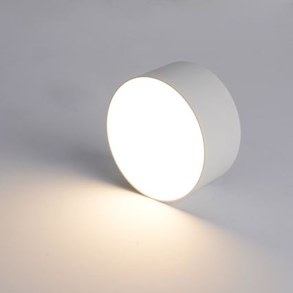 BRILAGI - LED Vonkajšie stropné svietidlo FORIS LED/20W/230V pr. 15 cm biela IP44