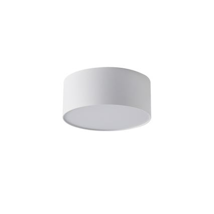 BRILAGI - LED Vonkajšie stropné svietidlo FORIS LED/20W/230V pr. 15 cm biela IP44
