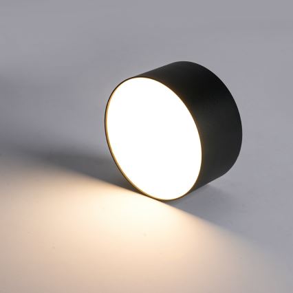 BRILAGI - LED Vonkajšie stropné svietidlo FORIS LED/20W/230V priemer 15 cm čierna IP44