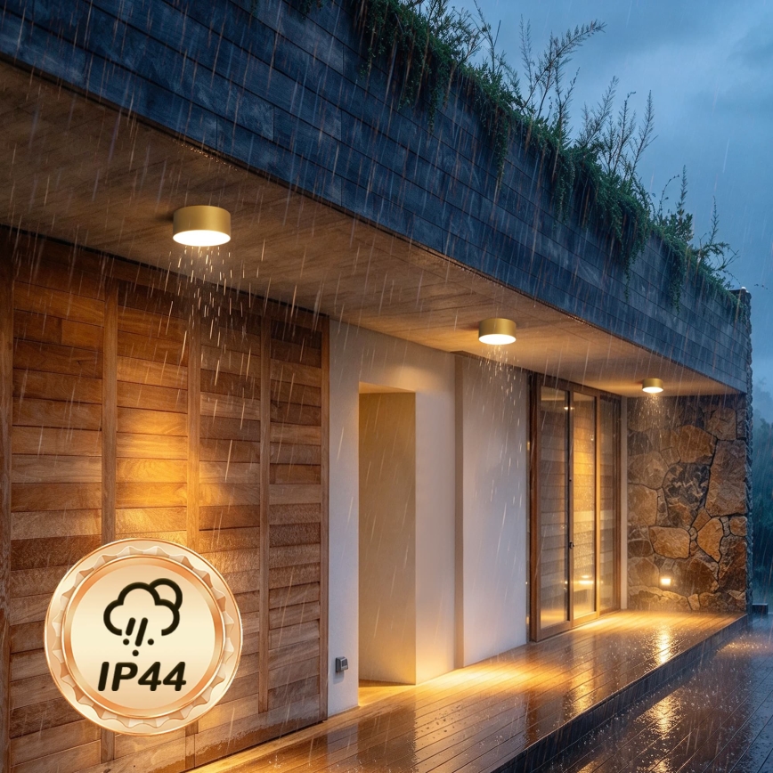 BRILAGI - LED Vonkajšie stropné svietidlo FORIS LED/20W/230V pr. 15 cm zlaté IP44