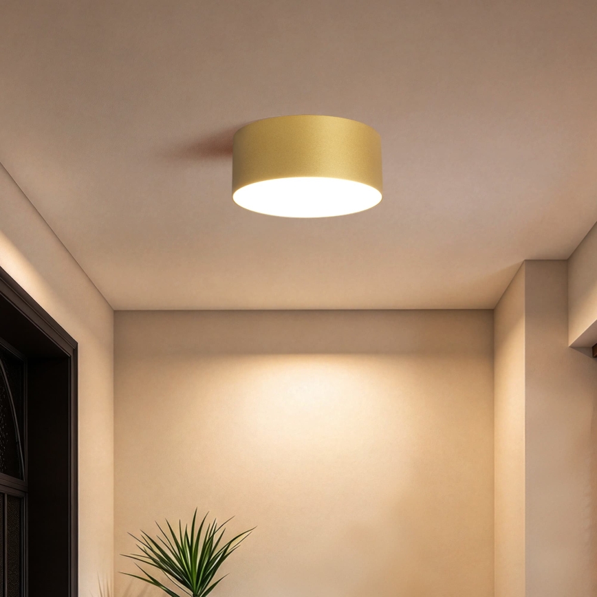 BRILAGI - LED Vonkajšie stropné svietidlo FORIS LED/20W/230V pr. 15 cm zlaté IP44
