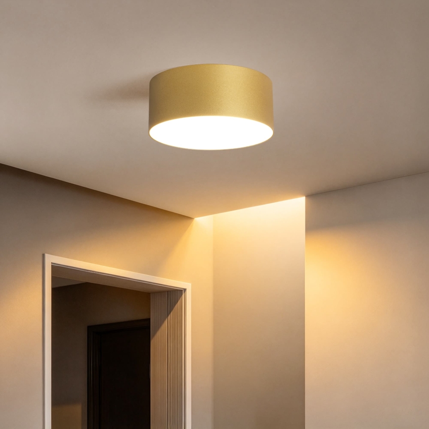 BRILAGI - LED Vonkajšie stropné svietidlo FORIS LED/20W/230V pr. 15 cm zlaté IP44