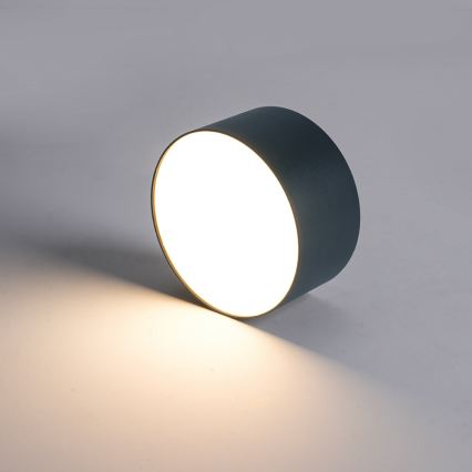 BRILAGI - LED vonkajšie stropné svietidlo FORIS LED/9W/230V priemer 9 cm antracit IP44