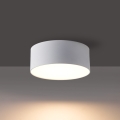 BRILAGI - LED Vonkajšie stropné svietidlo FORIS LED/9W/230V pr. 9 cm biela IP44