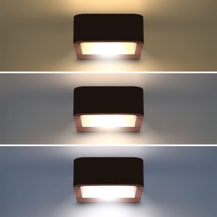 Brilagi - LED Vonkajšie nástenné svietidlo BARI LED/7W/230V 3000/4000/6000K hnedé IP54