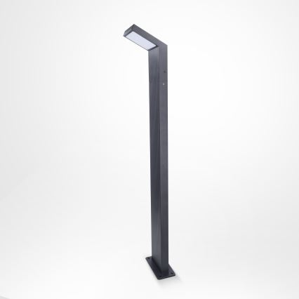 Brilagi - LED vonkajšie svietidlo RIANO LED/8W/230V antracit IP65