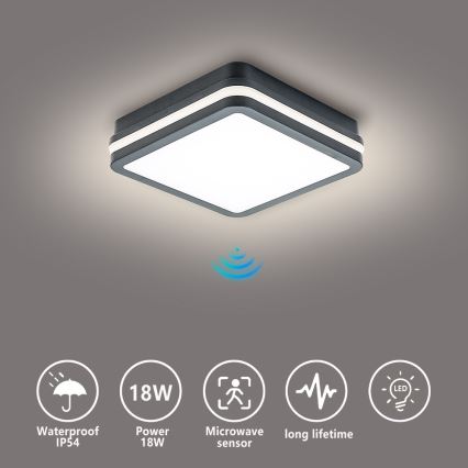 Brilagi - LED Vonkajšie svietidlo so senzorom BENE LED/18W/230V 22x22 cm antracit IP54