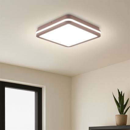 Brilagi - LED vonkajšie stropné svietidlo so senzorom BENE LED/24W/230V 26x26 cm hnedé IP54