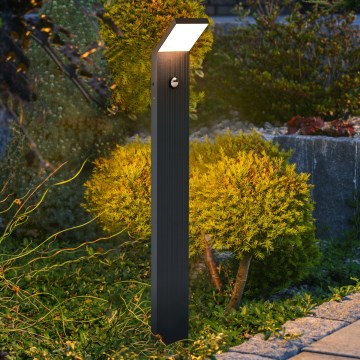 Brilagi - LED vonkajšie svietidlo so senzorom RIANO LED/8W/230V antracitové IP65