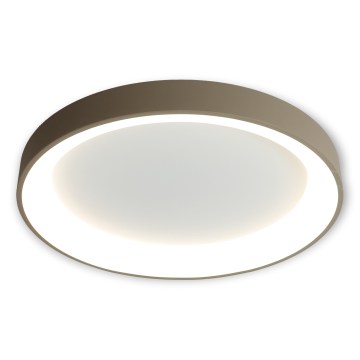 BRILAGI - LED zatemnjiva stropna svetilka FALCON II LED/99W/230V 3000-6500K premer 60 cm bela/bež + daljinski upravljalnik
