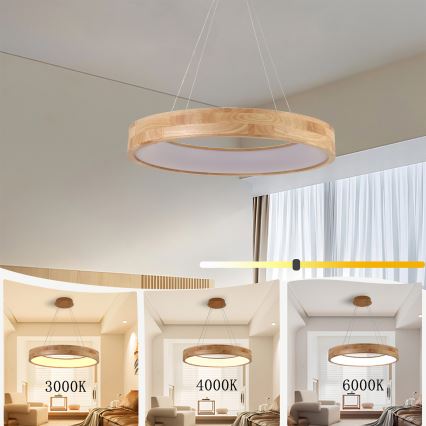 Brilagi - LED závesný luster na lanku FALCON WOOD LED/40W/230V 3000/4000/6000K, priemer 60 cm, drevo