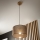 Brilagi - Luster na lanku ANTHONY 1xE27/60W/230V dub/hnedá