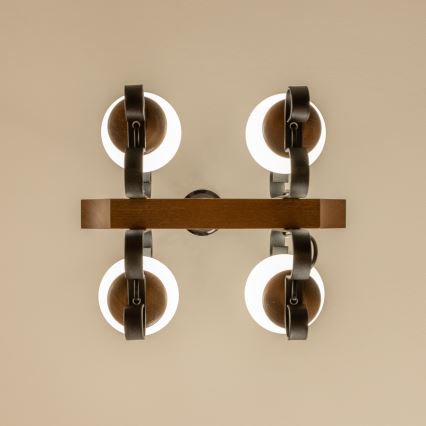 Brilagi - Luster na reťazi QUEEN 4xE14/40W/230V buk/orech