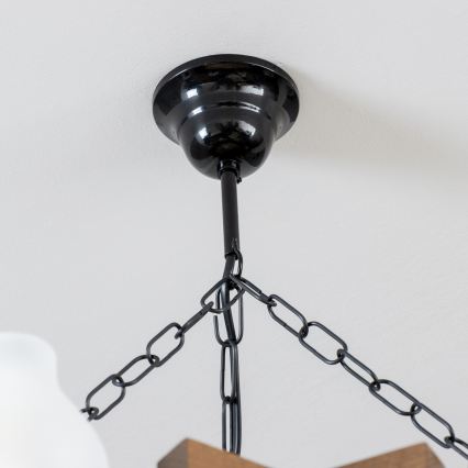 Brilagi - Luster na reťazi QUEEN 6xE14/40W/230V buk/orech