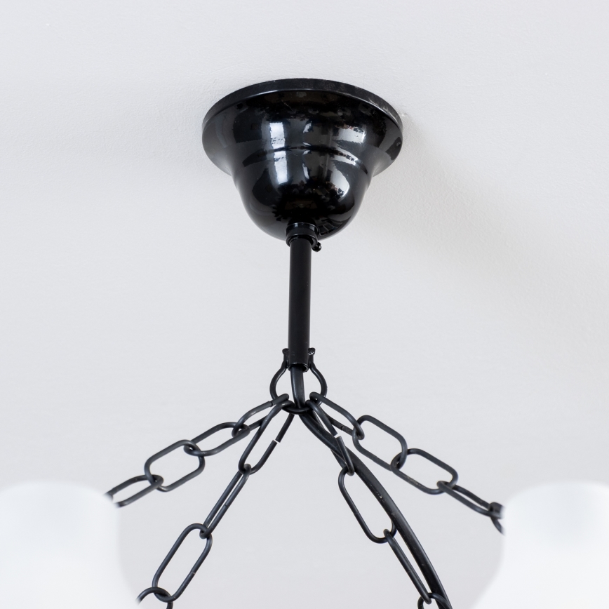 Brilagi - Luster na reťazi QUEEN 8xE14/40W/230V buk/orech