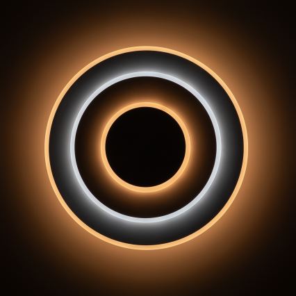 Brilagi - LED stmievateľné stropné svietidlo MODERN LED/58W/230V 3000-6000K pr. 46,3 cm + diaľkové ovládanie
