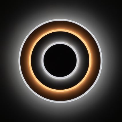 Brilagi - LED stmievateľné stropné svietidlo MODERN LED/58W/230V 3000-6000K pr. 46,3 cm + diaľkové ovládanie