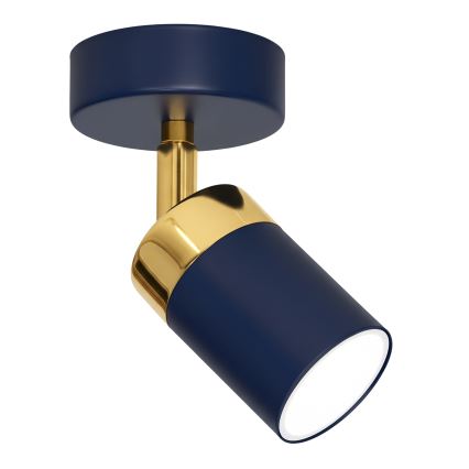 Brilagi - Nástenné bodové svietidlo POKER 1xGU10/25W/230V modrá/zlatá