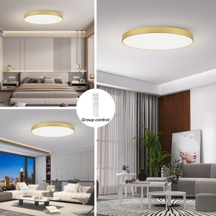Brilagi - Stmievateľné LED stropné svietidlo POOL SMART LED/180W/230V 3000-6000K 120 cm zlaté Wi-Fi Tuya + diaľkové ovládanie