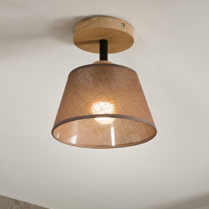 Brilagi - Prisadený luster ANTHONY 1xE14/60W/230V dub/hnedá
